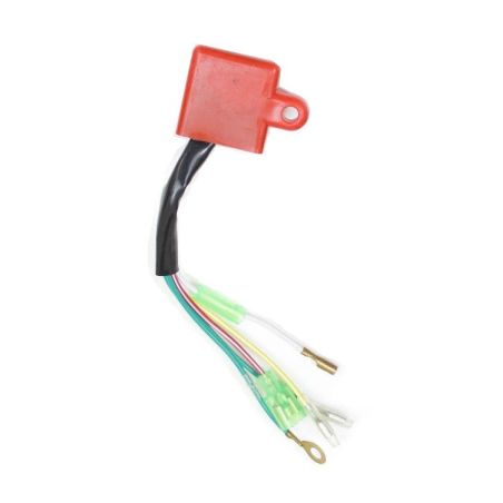 CDI Rotor