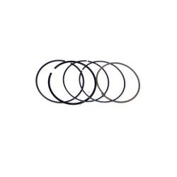 Segmentos  Z155/YX150/YX160