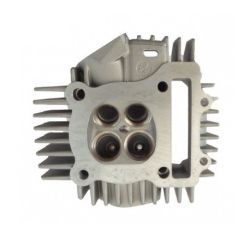 Culata Daytona anima 4V