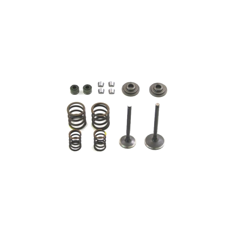 Kit reparacion valvulas Z155