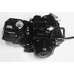 Nuevo Z190cc 2V
