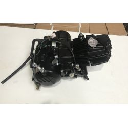 Nuevo Z190cc 2V