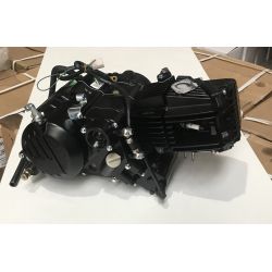 Nuevo Z190cc 2V