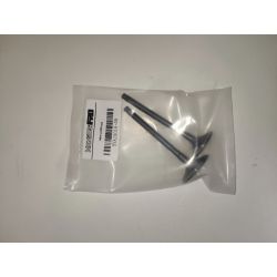 Valvulas ZS 190cc