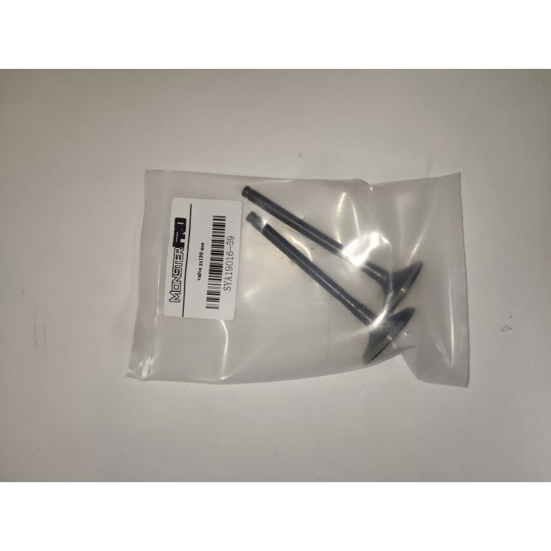 Valvulas ZS 190cc