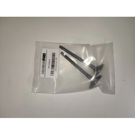 Valvulas ZS 190cc
