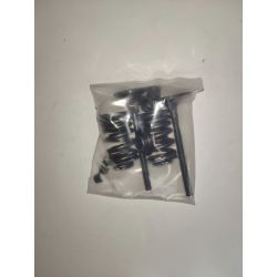Kit de reparacion valvulas ZS 190cc