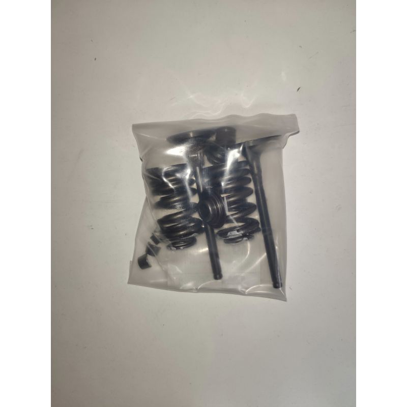 Kit de reparacion valvulas ZS 190cc
