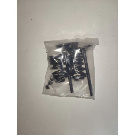 Kit de reparacion valvulas ZS 190cc