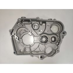 Carter Central ZS 190cc