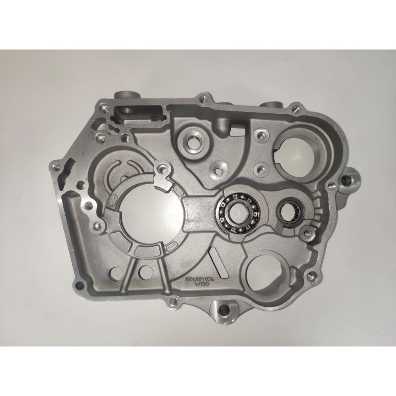 Carter Central ZS 190cc