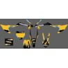 Pegatinas 3M WRX 250 beebad