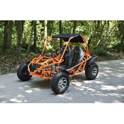 Super Buggy 200cc adulto marcha alante y marcha atras