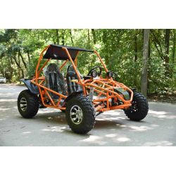 Super Buggy 200cc adulto marcha alante y marcha atras