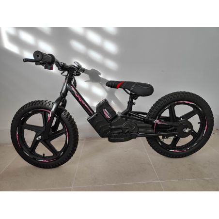 Bicicleta electrica Goral 200W 5ah Litio Ruedas 16" desde 3 años