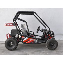 Buggy Biplaza tuner 1500W electrico