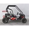Buggy Biplaza tuner 1500W electrico