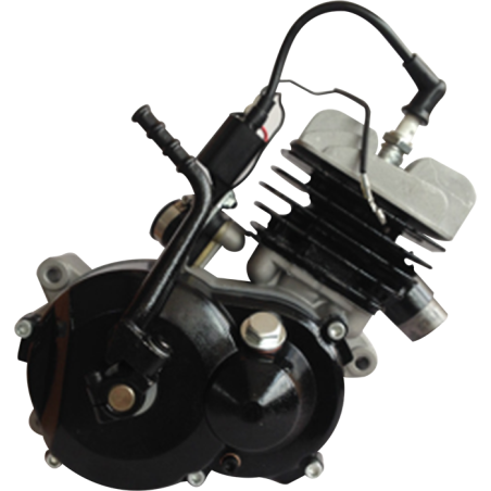 Motor 49cc 2t SX50 aire copia