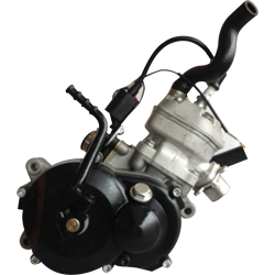Motor 49cc 2t SX50 agua copia
