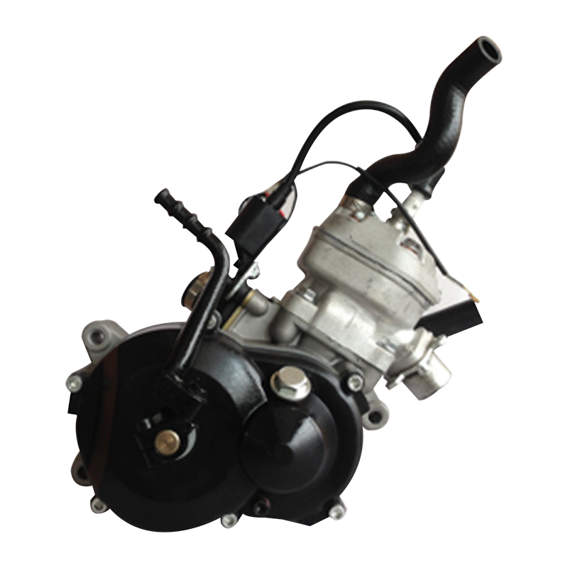 Motor 49cc 2t SX50 agua copia